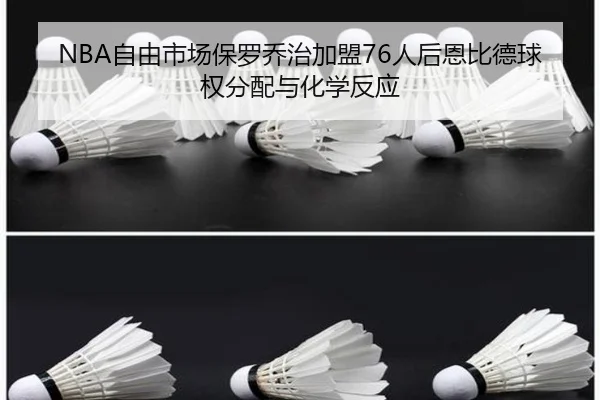 zi-you-shi-chang-bao-luo-qiao-zhi-jia-meng-ren-hou-en-bi-de-qiu-quan-fen-pei-yu-hua-xue-fan-ying-2-966.jpg
